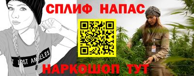дживик Моздок
