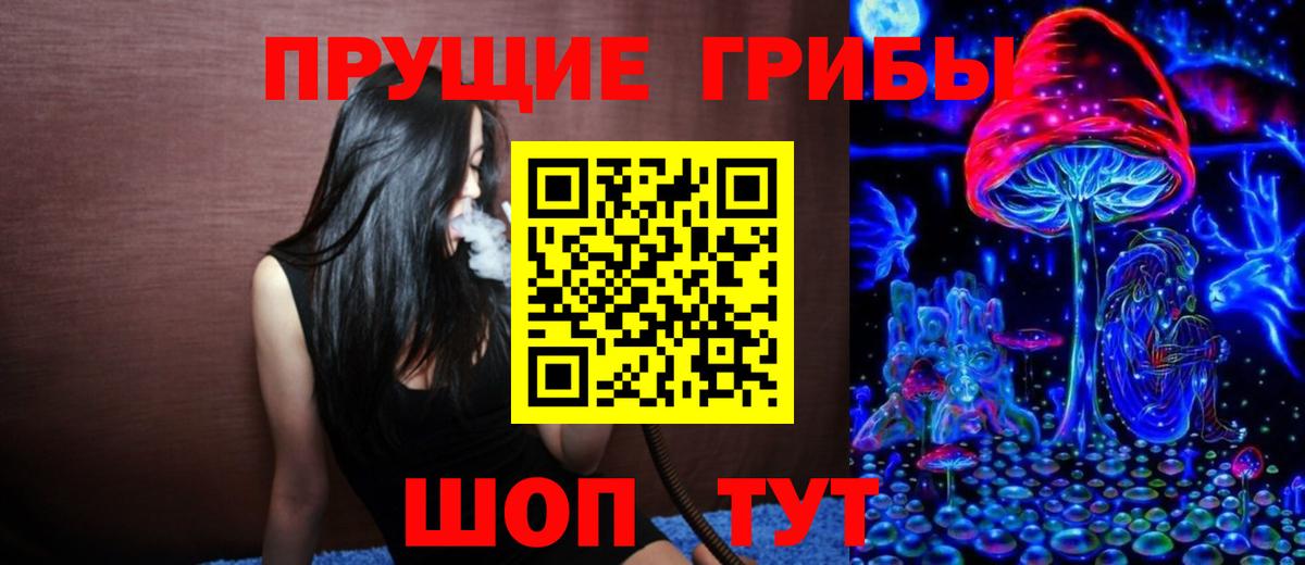 Бугуруслан  Псилоцибиновые грибы Cubensis  Вход с VPN 